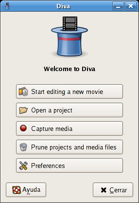 Image 2: Diva Main Window