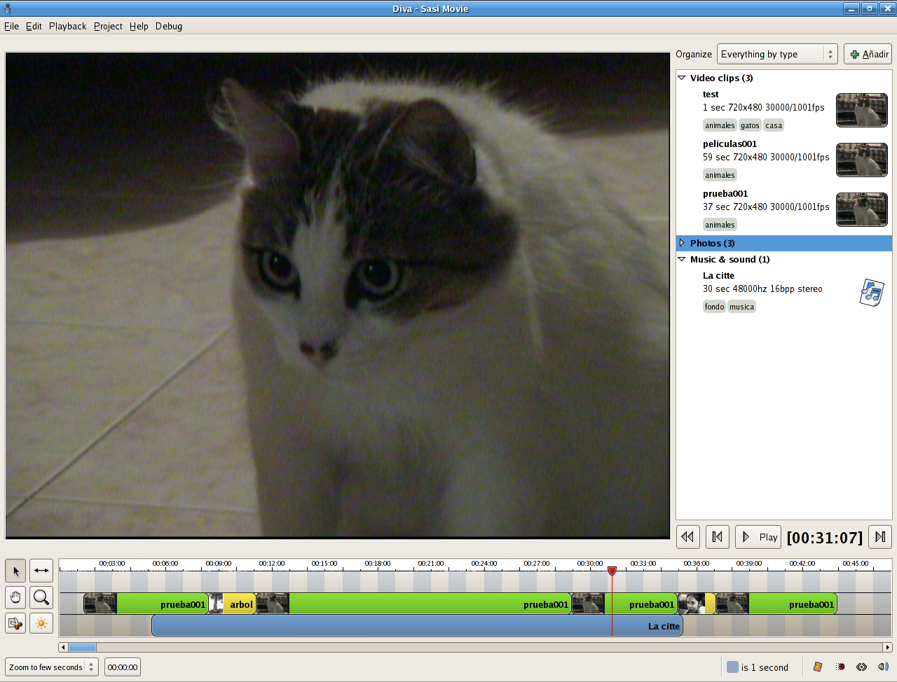 Image 4: Diva Editing Window